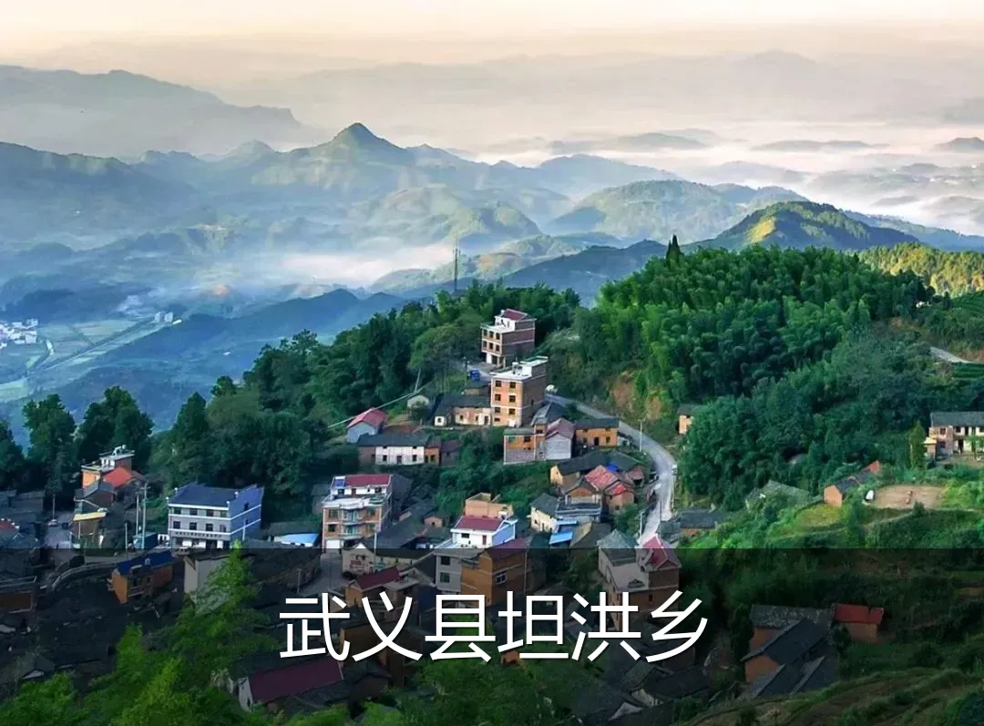 武义县坦洪乡