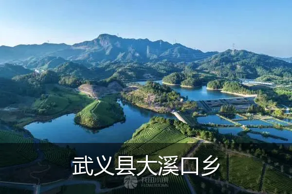 武义县大溪口乡