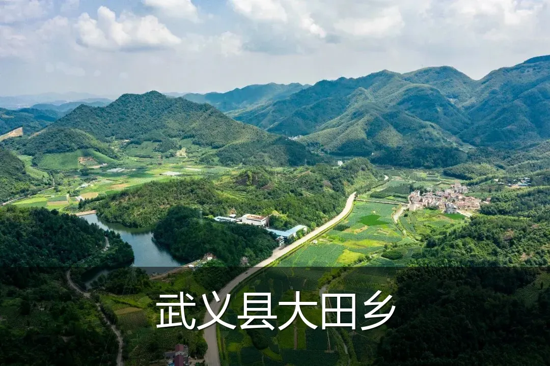 武义县大田乡