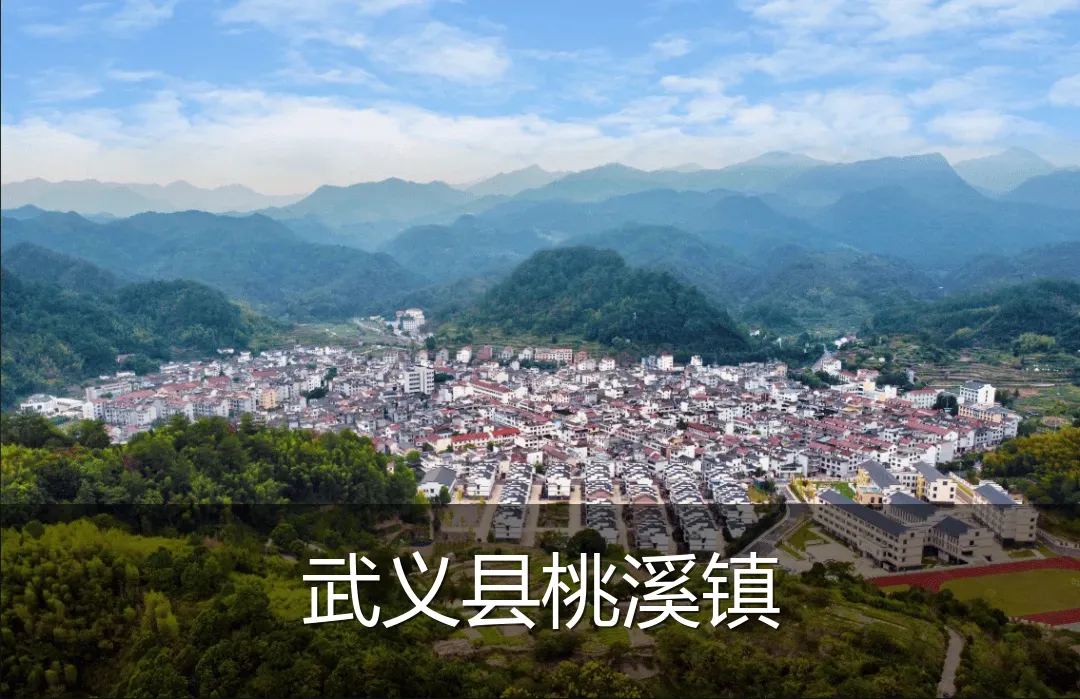 武义县桃溪镇