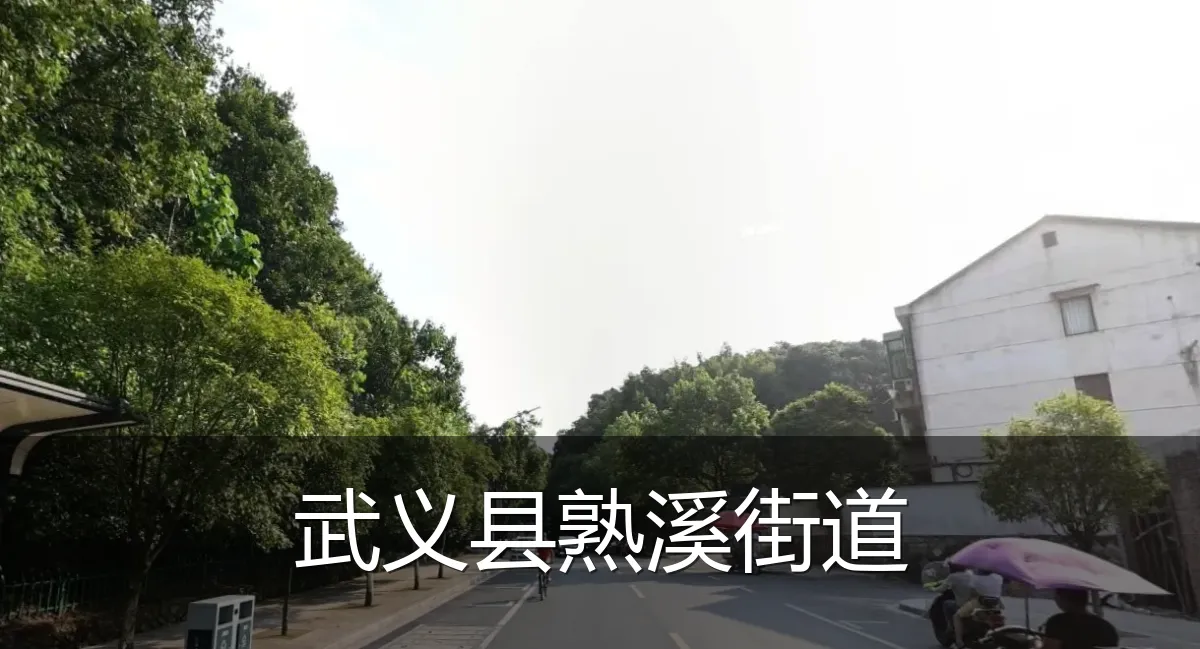 武义县熟溪街道