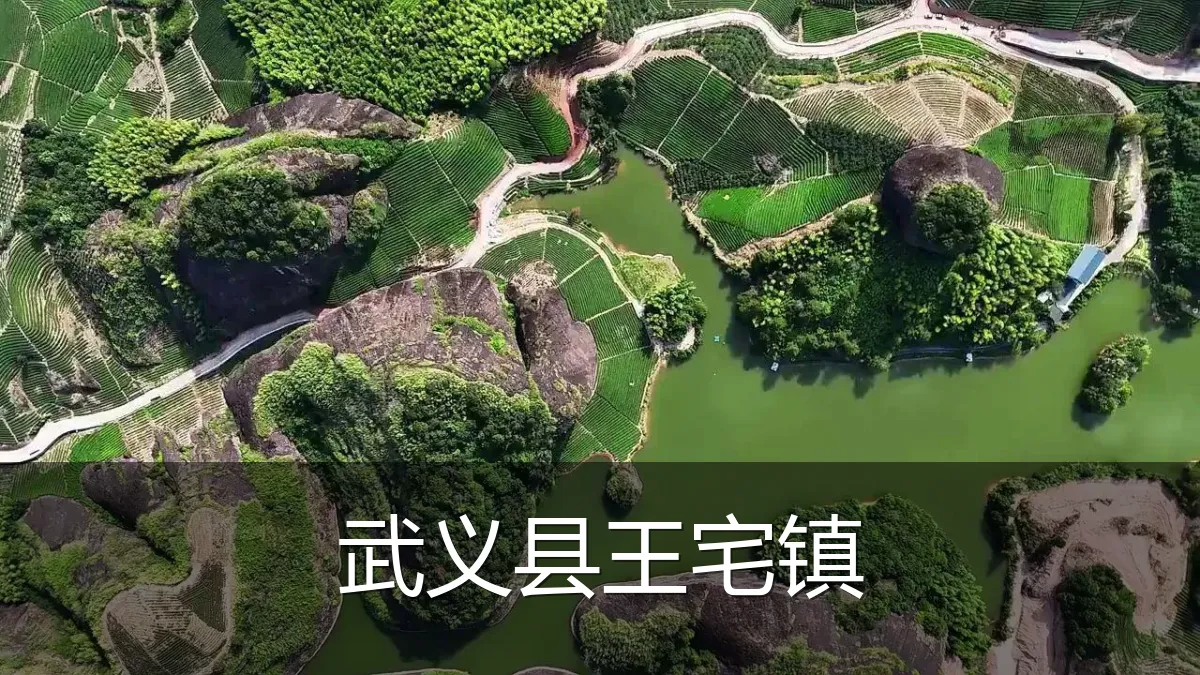 武义县王宅镇
