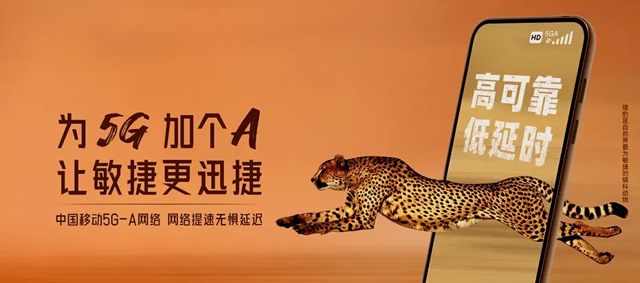 武义县武义县白洋街道 移动宽带